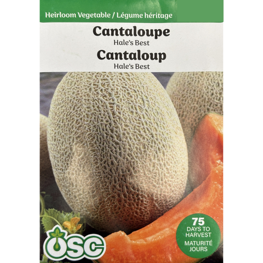 OSC Seeds Cantaloupe Hale's Best Pkg.