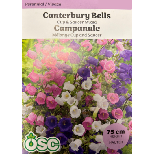 OSC Seeds Canterbury Bells Cup & Saucer Mixed Pkg.