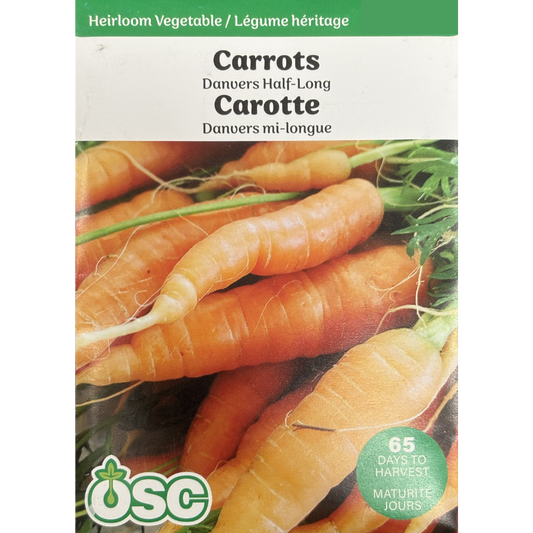 OSC Seeds Carrot Danvers Half-Long Pkg.