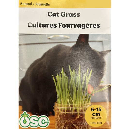 OSC Seeds Cat Grass Pkg.