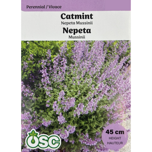 OSC Herb Seeds Catmint Nepeta Mussini Pkg.