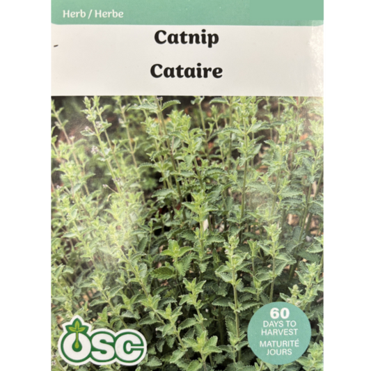 OSC Herb Seeds Catnip Pkg.