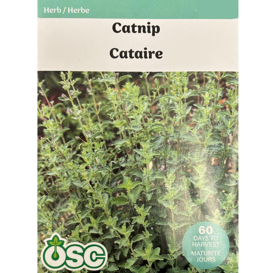 OSC Herb Seeds Catnip Pkg.