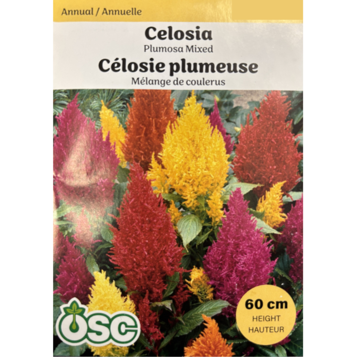 OSC Seeds Celosia Plumosa Mixed Pkg.