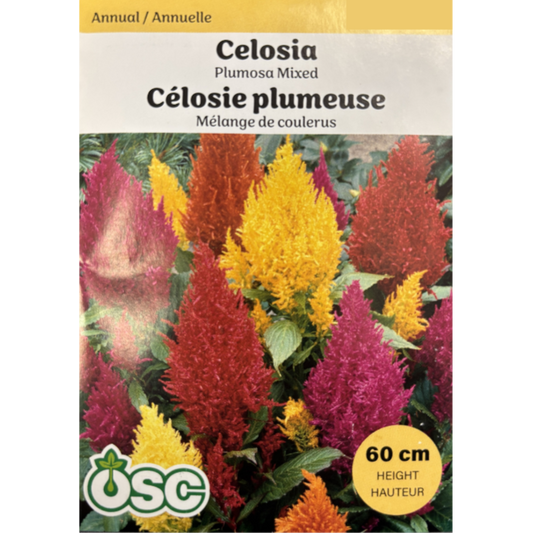 OSC Seeds Celosia Plumosa Mixed Pkg.