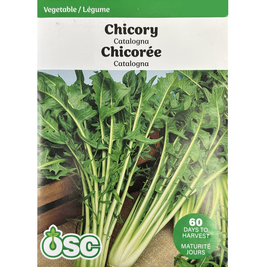 OSC Seeds Chicory Catalogna Pkg.