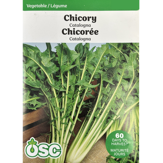 OSC Seeds Chicory Catalogna Pkg.