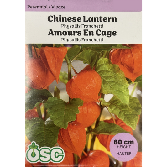 OSC Seeds Chinese Lantern Pkg.