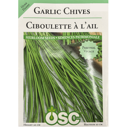 OSC Herb Seeds Chives Garlic Pkg.