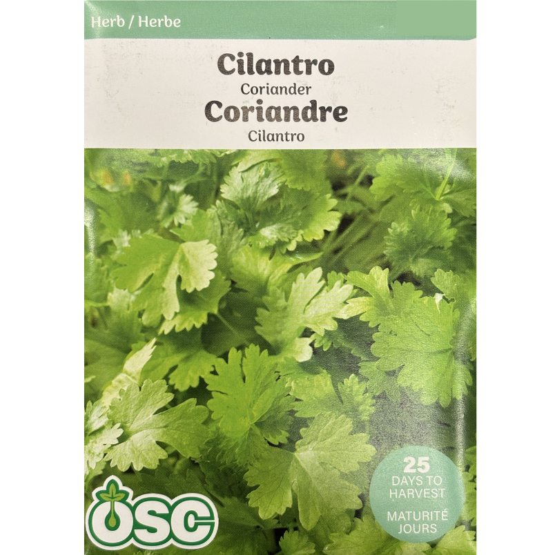 OSC Herb Seeds Cilantro Coriander Pkg.