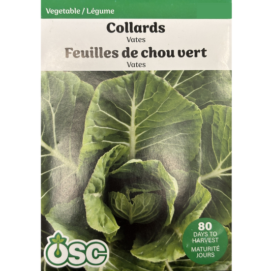 OSC Seeds Collards Vates Pkg.