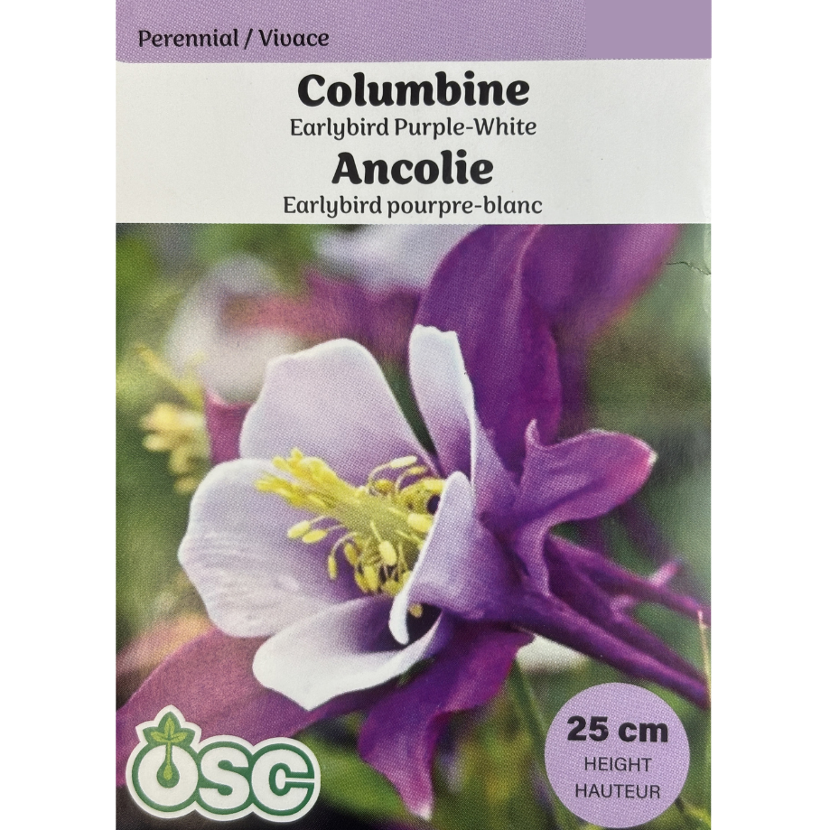 OSC Seeds Columbine Earlybird Purple-White Pkg