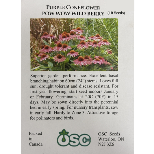 OSC Seeds Coneflower Purple Pow Wow Wild Berry Pkg.
