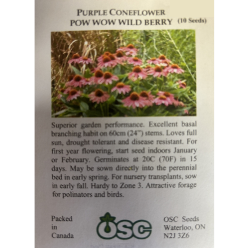 OSC Seeds Coneflower Purple Pow Wow Wild Berry Pkg.