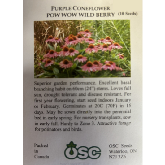 OSC Seeds Coneflower Purple Pow Wow Wild Berry Pkg.
