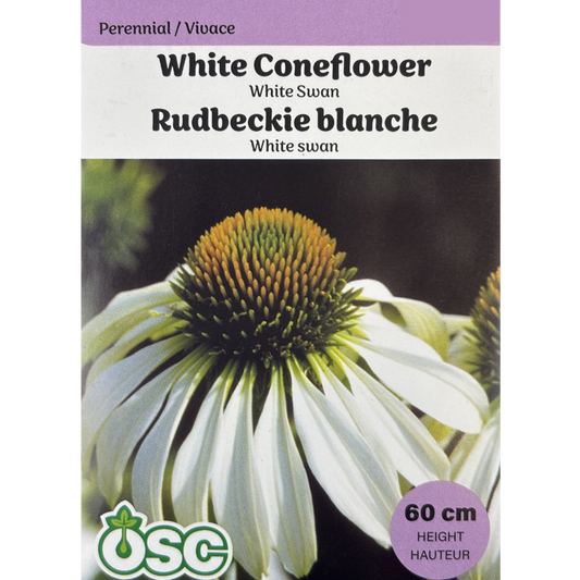 OSC Seeds Coneflower White Swan Pkg.