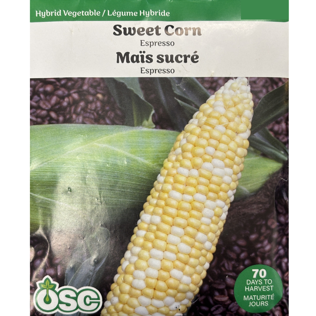 OSC Seeds Corn Expresso