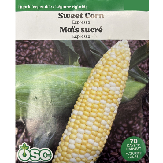 OSC Seeds Corn Expresso