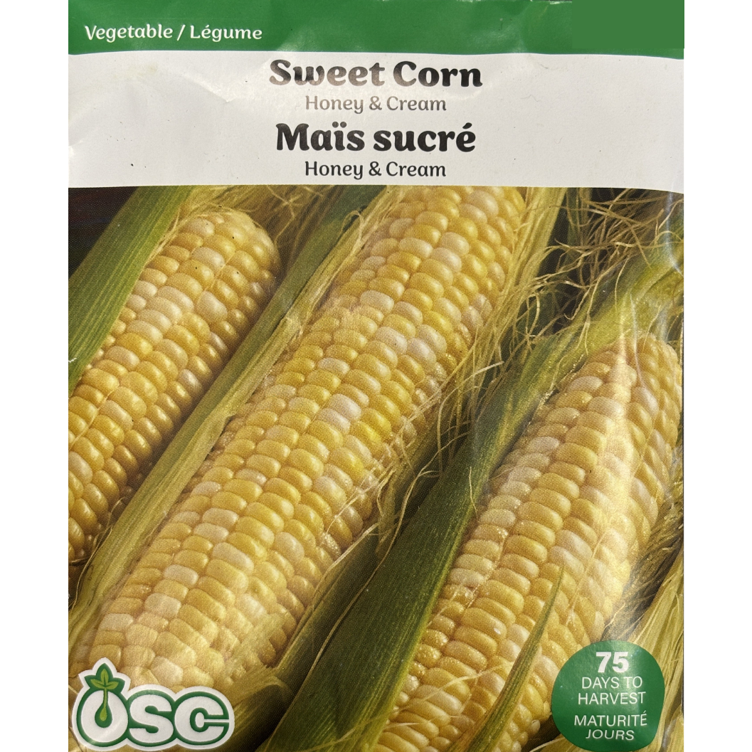 OSC Seeds Corn Honey & Cream