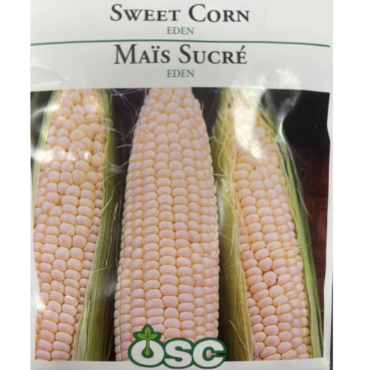 OSC Seeds Corn Sweet Eden Large Pkg.