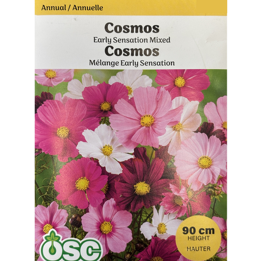 OSC Seeds Cosmos 'Early Sensation Mixed' Pkg.