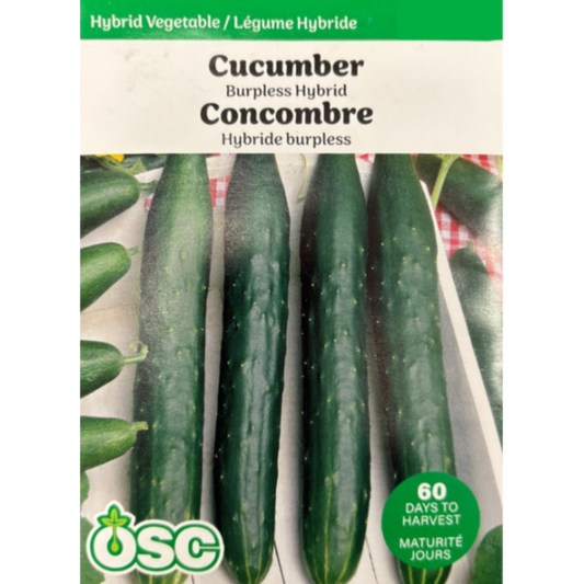 OSC Seeds Cucumber Burpless Hybrid Pkg.