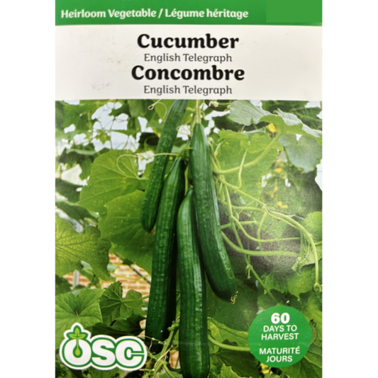 OSC Seeds Cucumber English Telegraph Pkg.