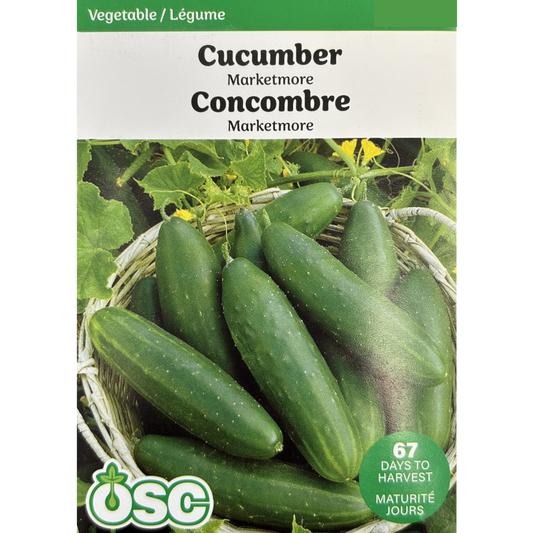 OSC Seeds Cucumber Marketmore Pkg.