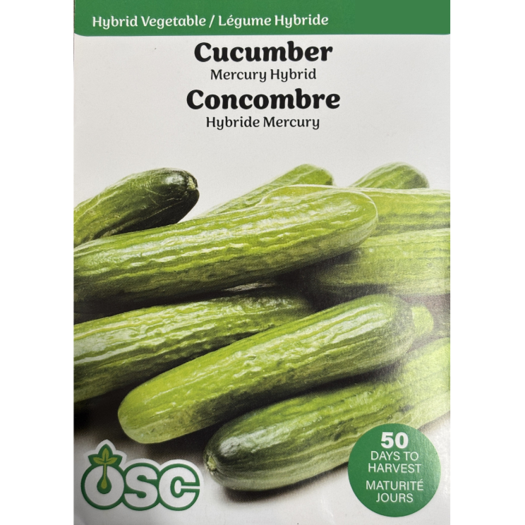 OSC Seeds Cucumber Mercury Hybrid Pkg.