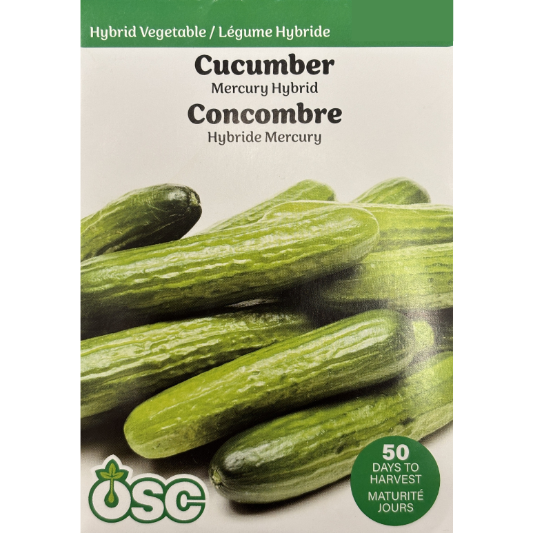 OSC Seeds Cucumber Mercury Hybrid Pkg.