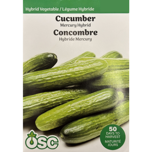 OSC Seeds Cucumber Mercury Hybrid Pkg.