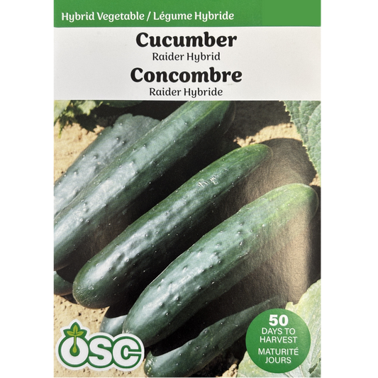 OSC Seeds Cucumber Raider Hybrid Pkg.