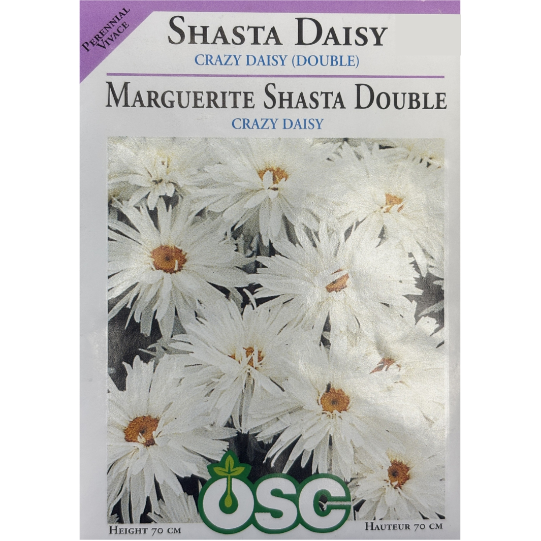 OSC Seeds Daisy Shasta Crazy Double Pkg.