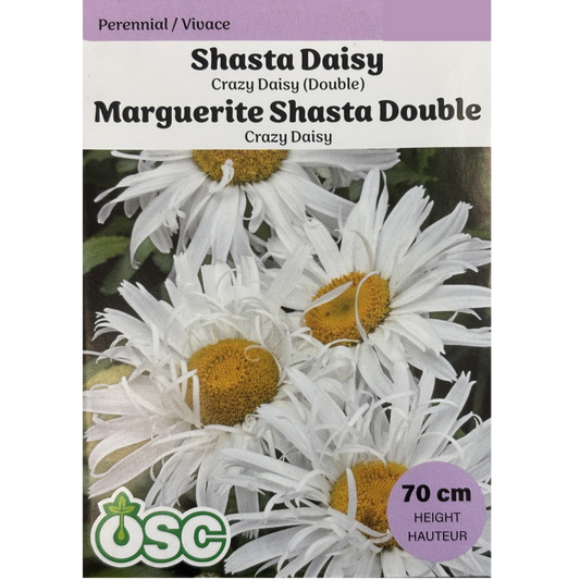 OSC Seeds Daisy Shasta Crazy Double Pkg.