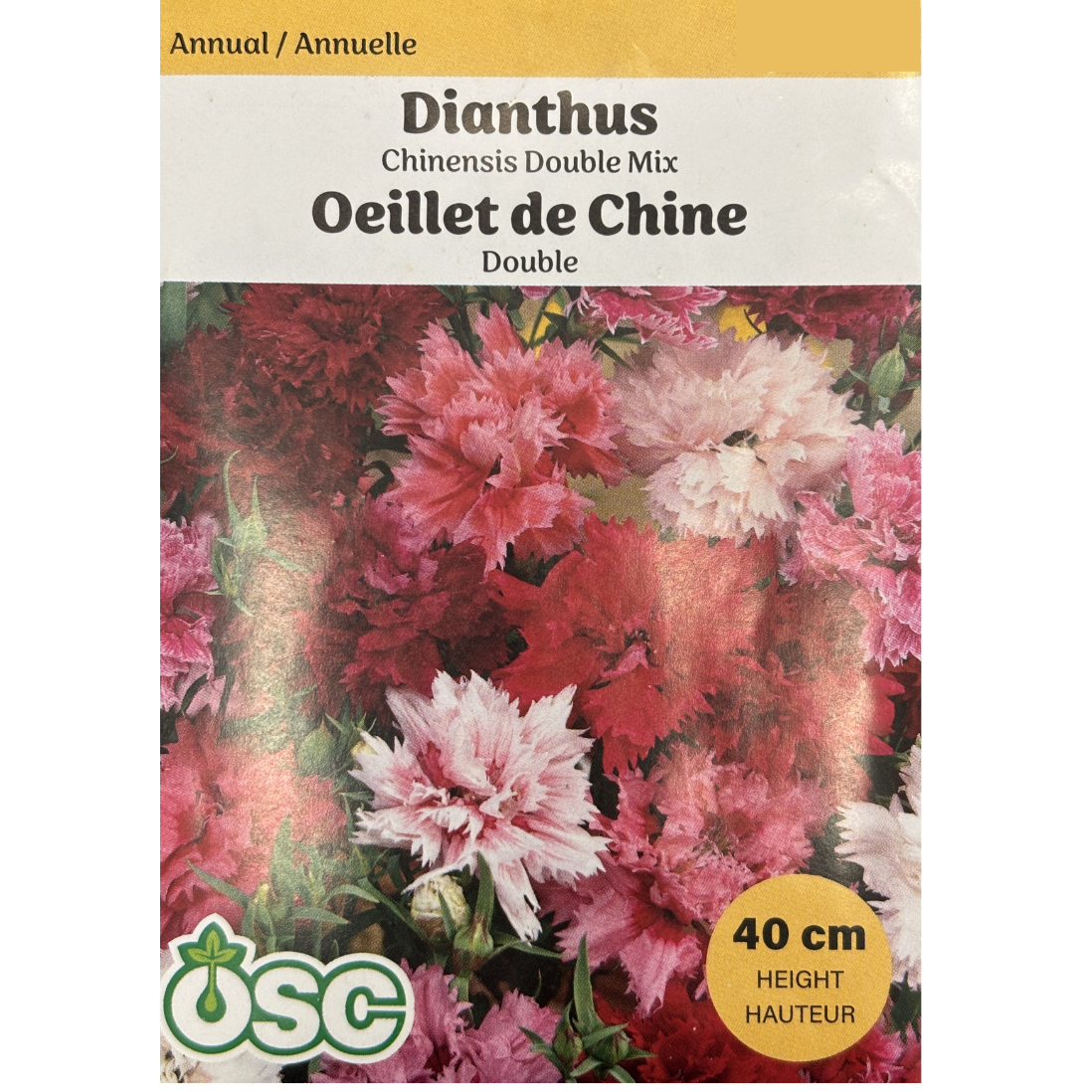 OSC Seeds Dianthus Chinensis Double Mix Pkg.