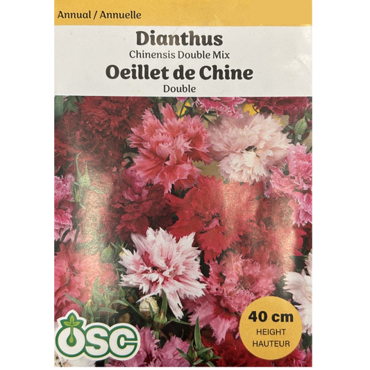 OSC Seeds Dianthus Chinensis Double Mix Pkg.
