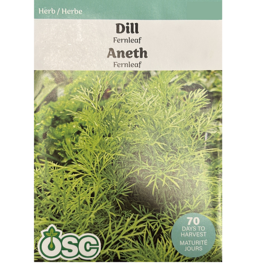 OSC Herb Seeds Dill Fernleaf Pkg.