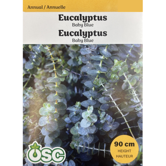 OSC Seeds Eucalyptus Baby Blue Pkg.