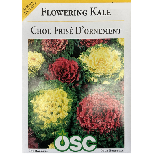 OSC Seeds Flowering Kale Pkg.