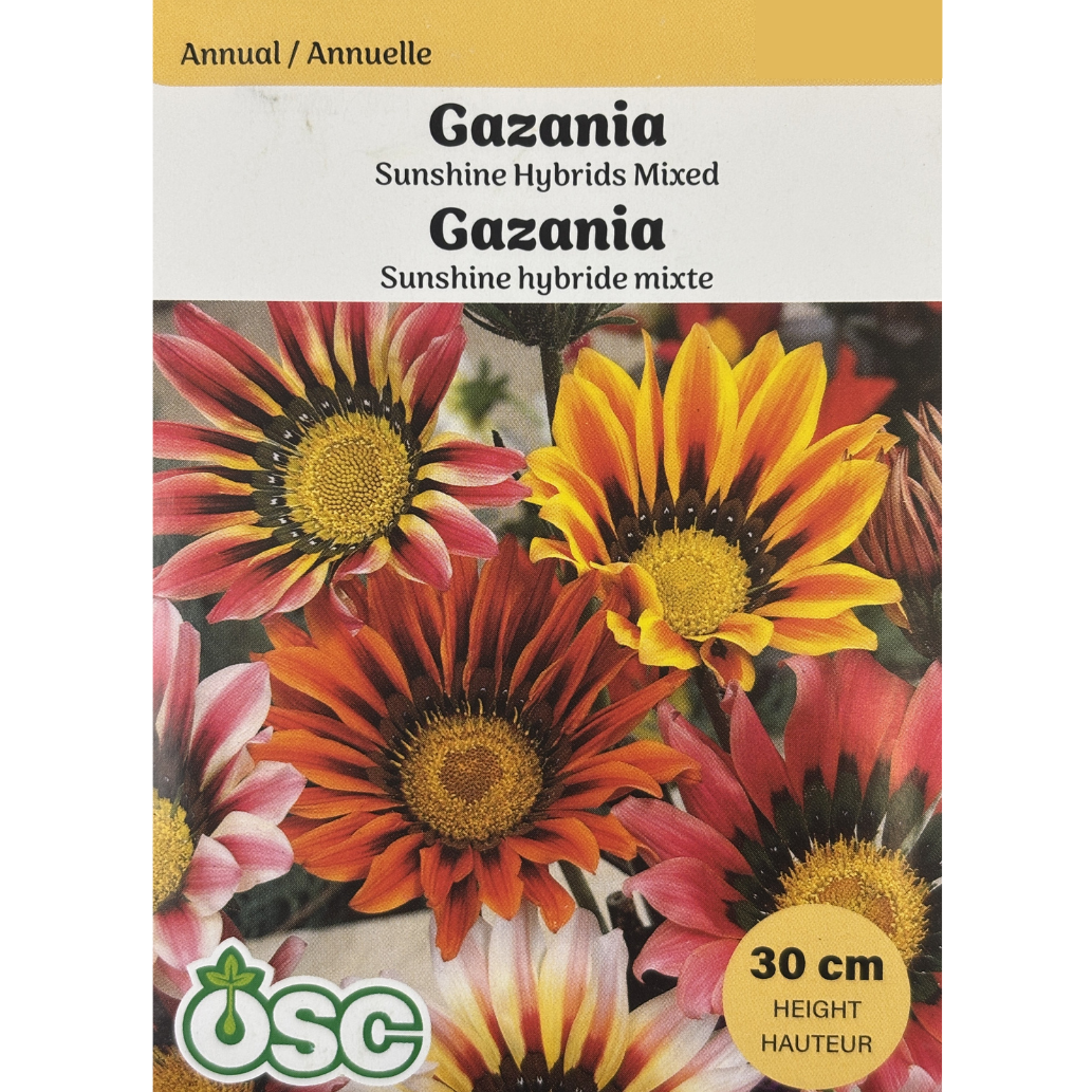 OSC Seeds Gazania Sunshine Hybrid Mixed Pkg.