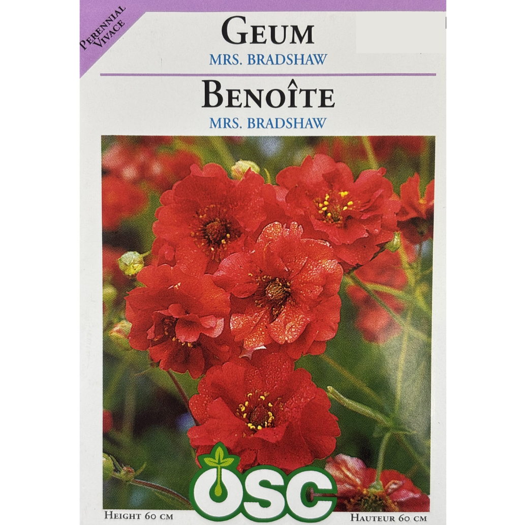 OSC Seeds Geum Mrs. Bradshaw Pkg.