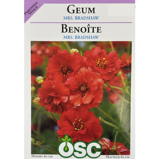 OSC Seeds Geum Mrs. Bradshaw Pkg.