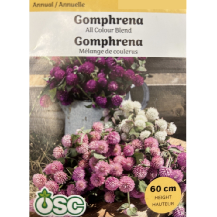 OSC Seeds Gomphrena All Colour Blends Pkg.