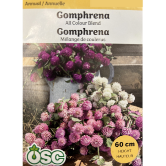 OSC Seeds Gomphrena All Colour Blends Pkg.