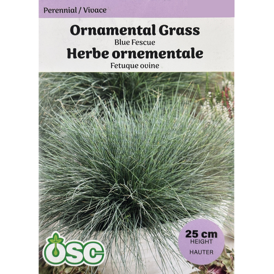 OSC Seeds Grass Ornamental Blue Fescue Pkg.