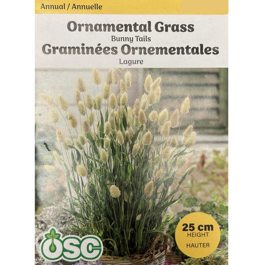 OSC Seeds Grass Ornamental Bunny Tails Pkg.