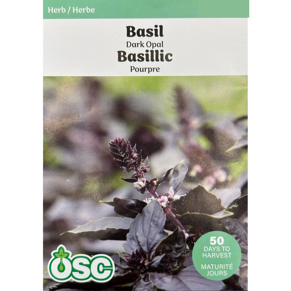OSC Herb Seeds Basil Dark Opal Pkg.