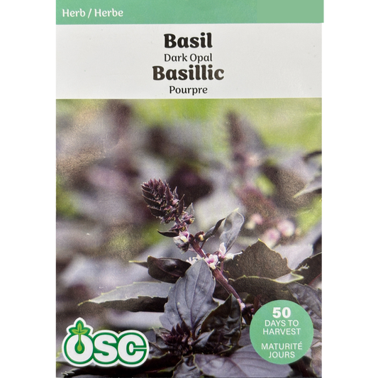 OSC Herb Seeds Basil Dark Opal Pkg.