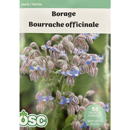 OSC Herb Seeds Borage Pkg.
