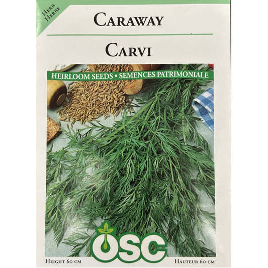 OSC Herb Seeds Caraway Pkg.
